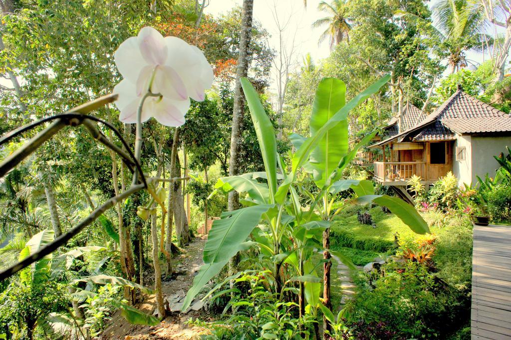Prashanti Bali أوبود المظهر الخارجي الصورة