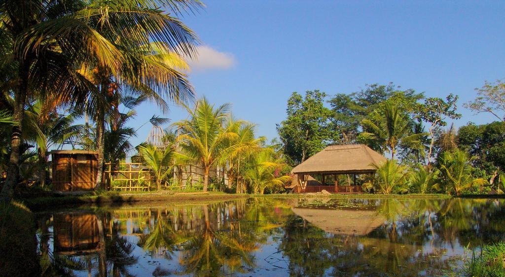Prashanti Bali أوبود المظهر الخارجي الصورة
