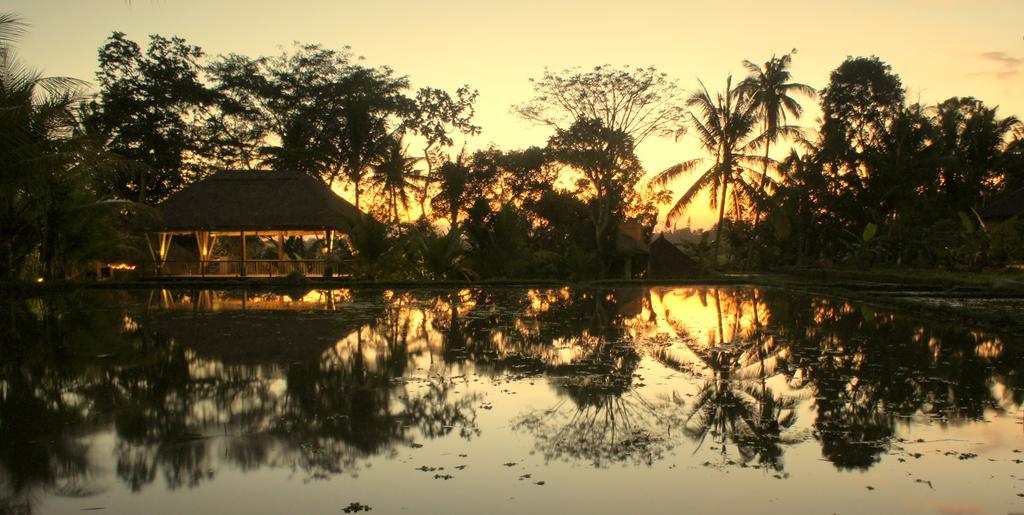 Prashanti Bali أوبود المظهر الخارجي الصورة
