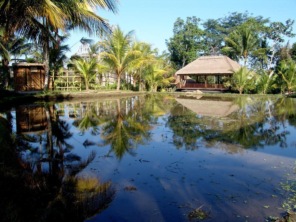 Prashanti Bali أوبود المظهر الخارجي الصورة